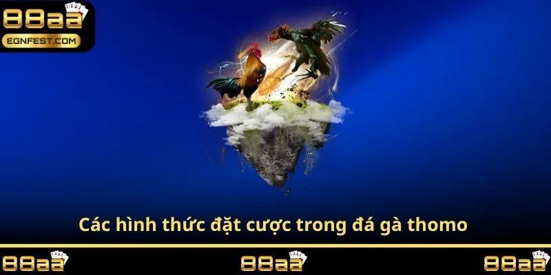 Các hình thức đặt cược trong đá gà thomo 