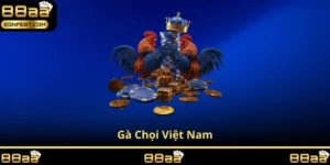 gà chọi việt nam