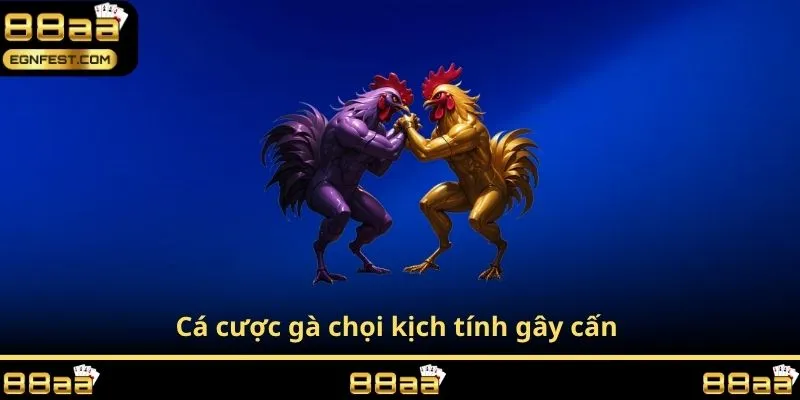 Cá cược gà chọi kịch tính gây cấn 
