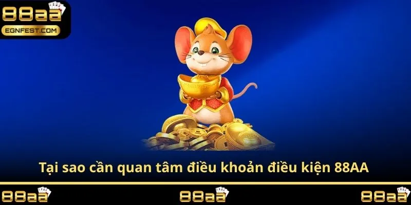 Tại sao cần quan tâm điều khoản điều kiện 88AA 